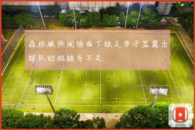 森林狼热闹场面下缺乏华子显露出球队的粗糙与不足