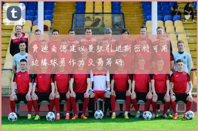 费迪南德建议曼联引进斯密特可用边缘球员作为交易筹码